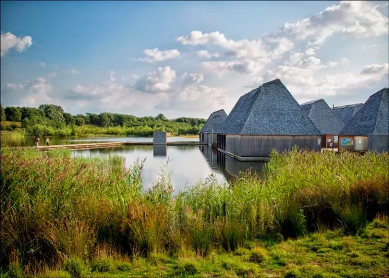 brockholes 768x548